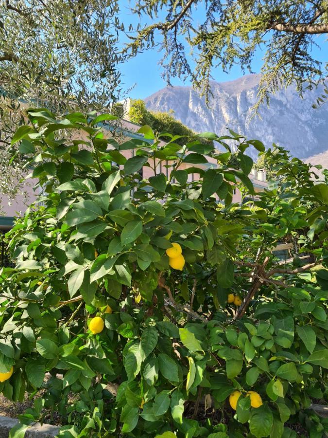 Le Peonie Apartment Riva del Garda Exterior foto